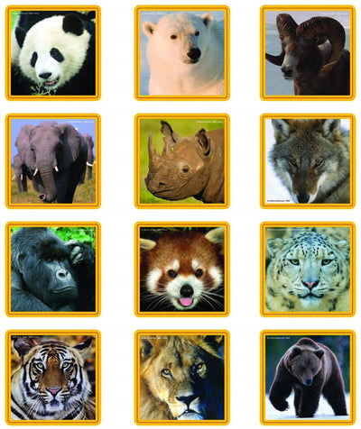 WWF Wildlife Memory Matching Game - Mammals