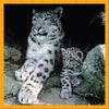 WWF 100 Piece Snow Leopard Puzzle