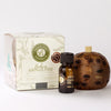 Banksia Medium Aroma Pod Gift Pack